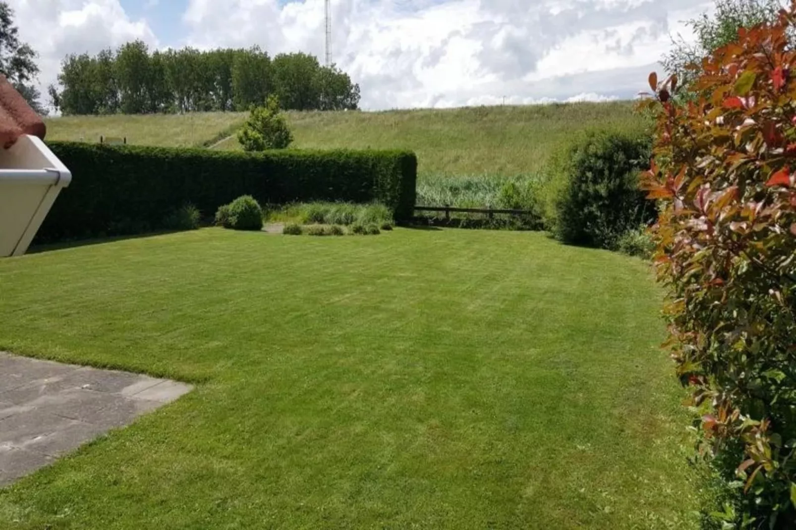Scheldeveste 44 Zwin Breskens-Aussicht Sommer