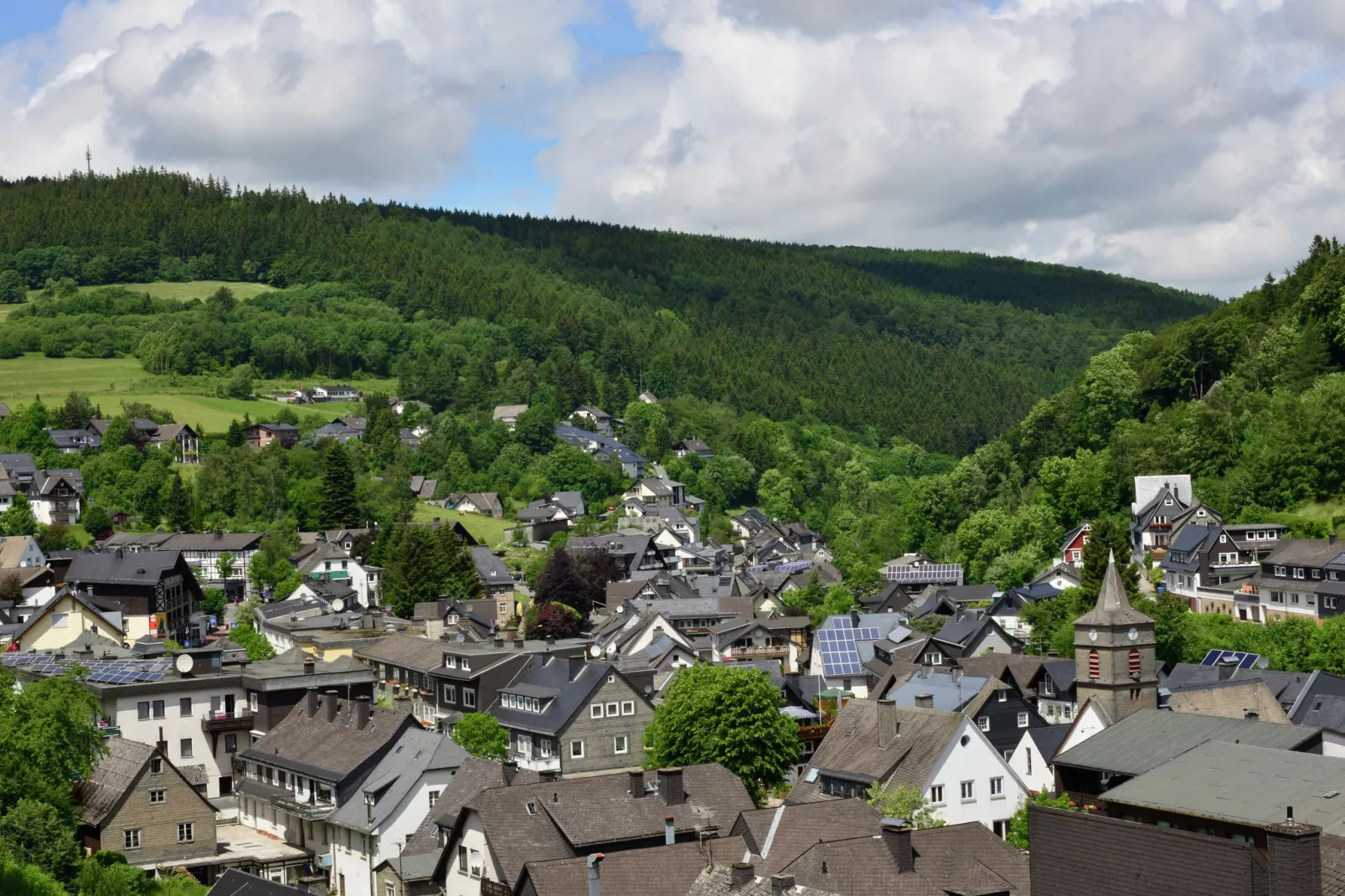 Willingen-Areas summer 1km