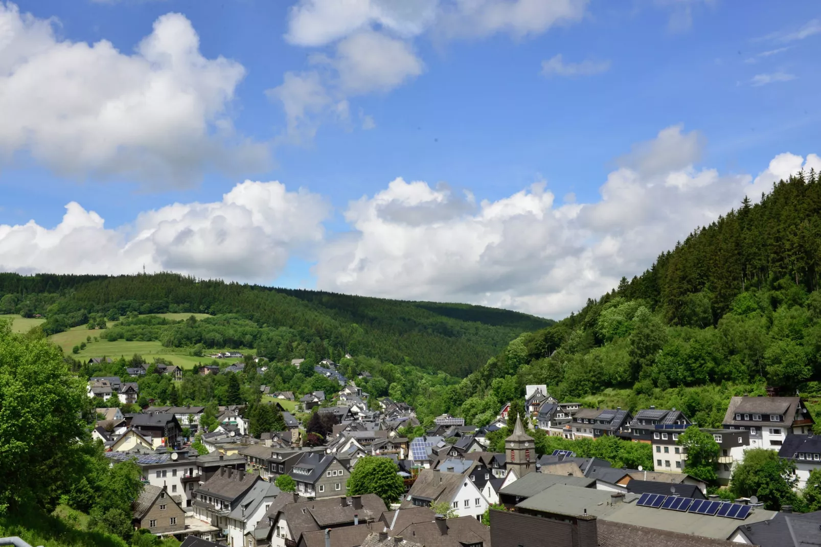 Willingen-Areas summer 5km