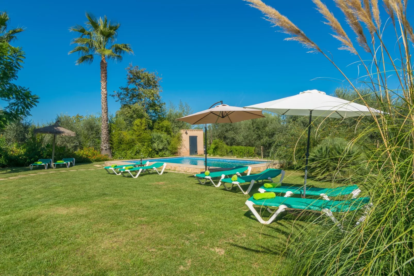 Mercader-Exterior summer