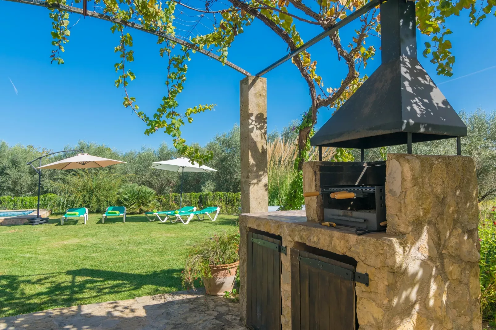Mercader-Exterior summer