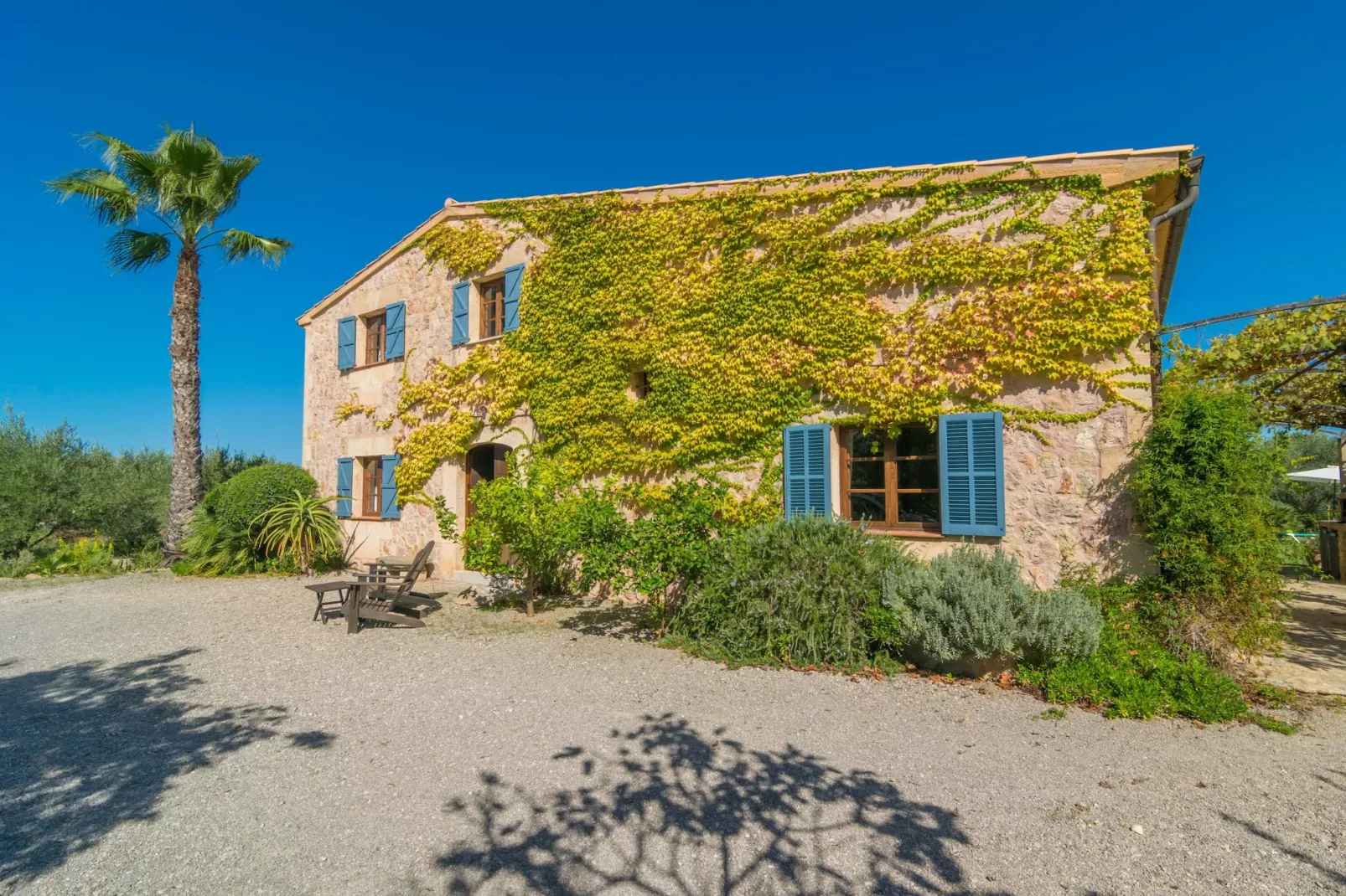 Mercader-Exterior summer