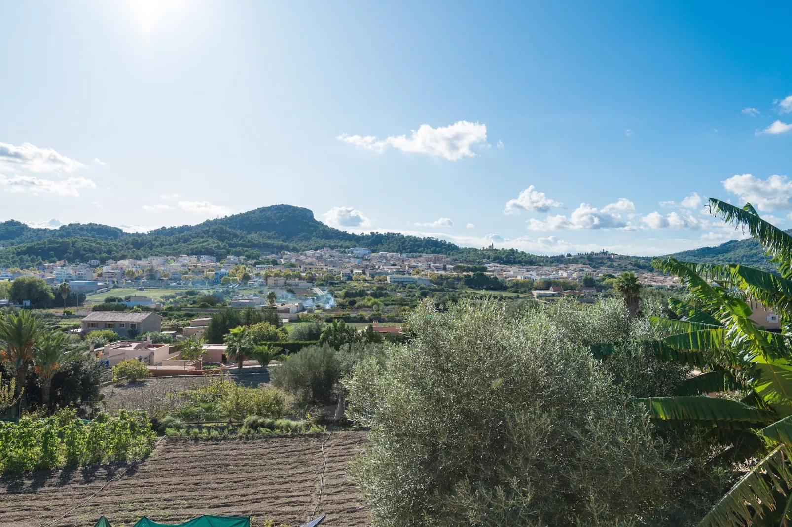 Solluna-Exterior summer