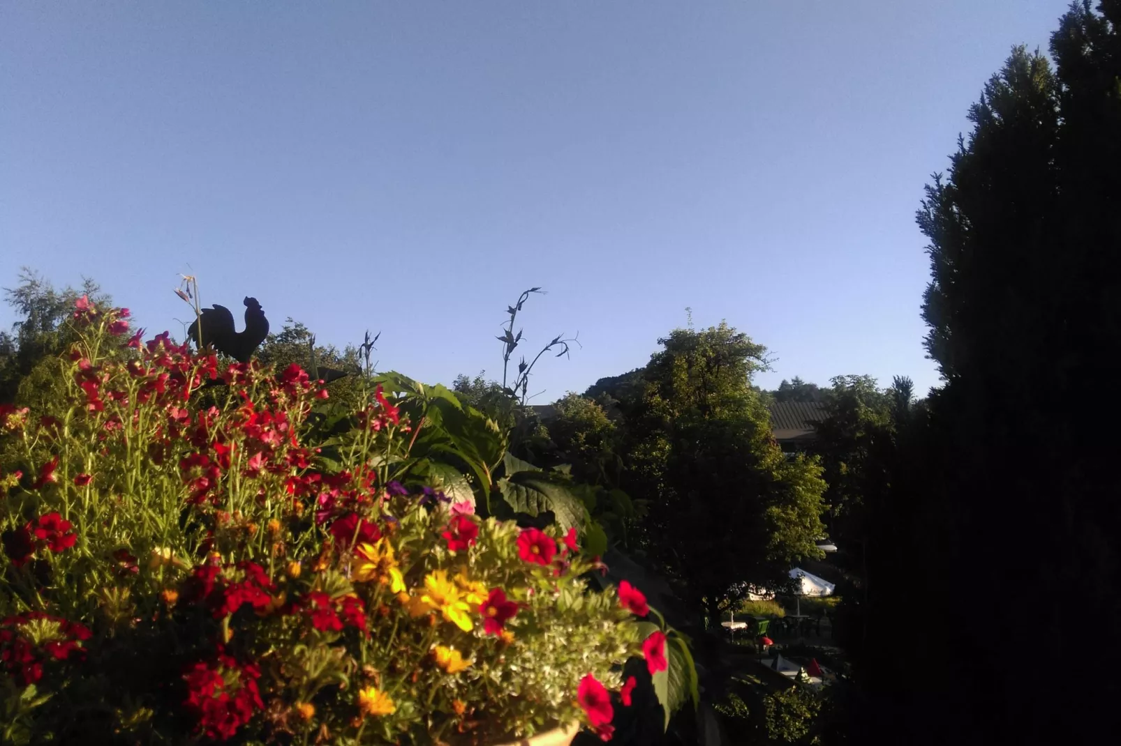 Bellevue-Aussicht Sommer