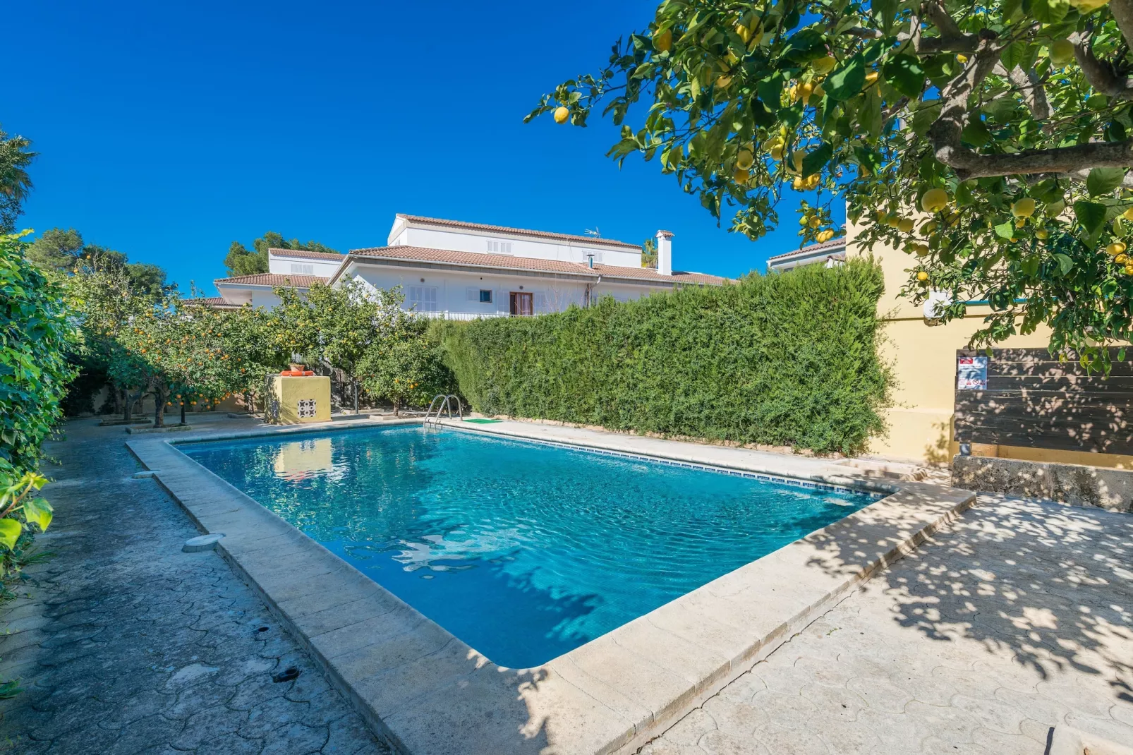 Can Miquel (tord)-Exterior summer