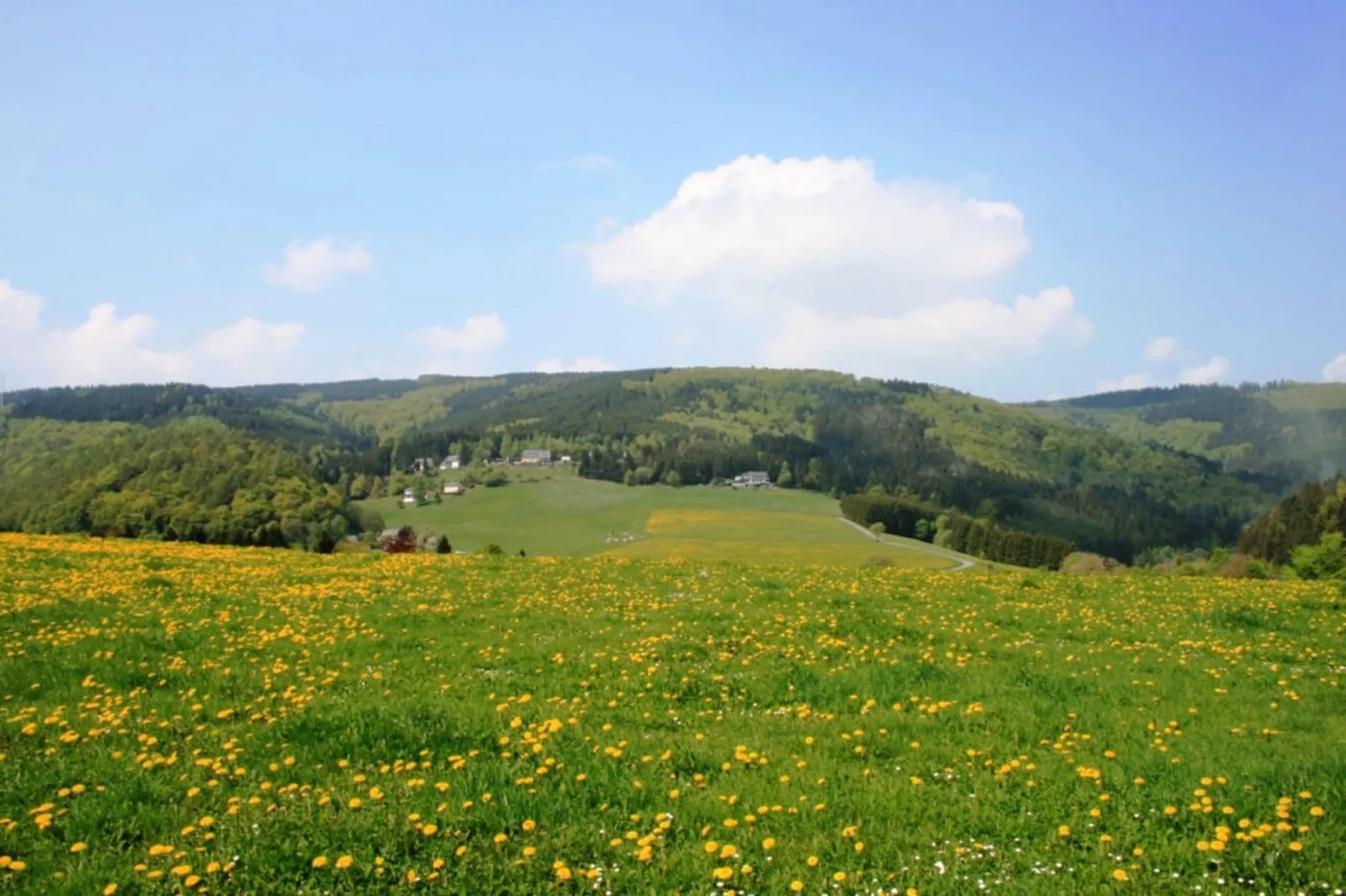 Am Iberg-Areas summer 5km