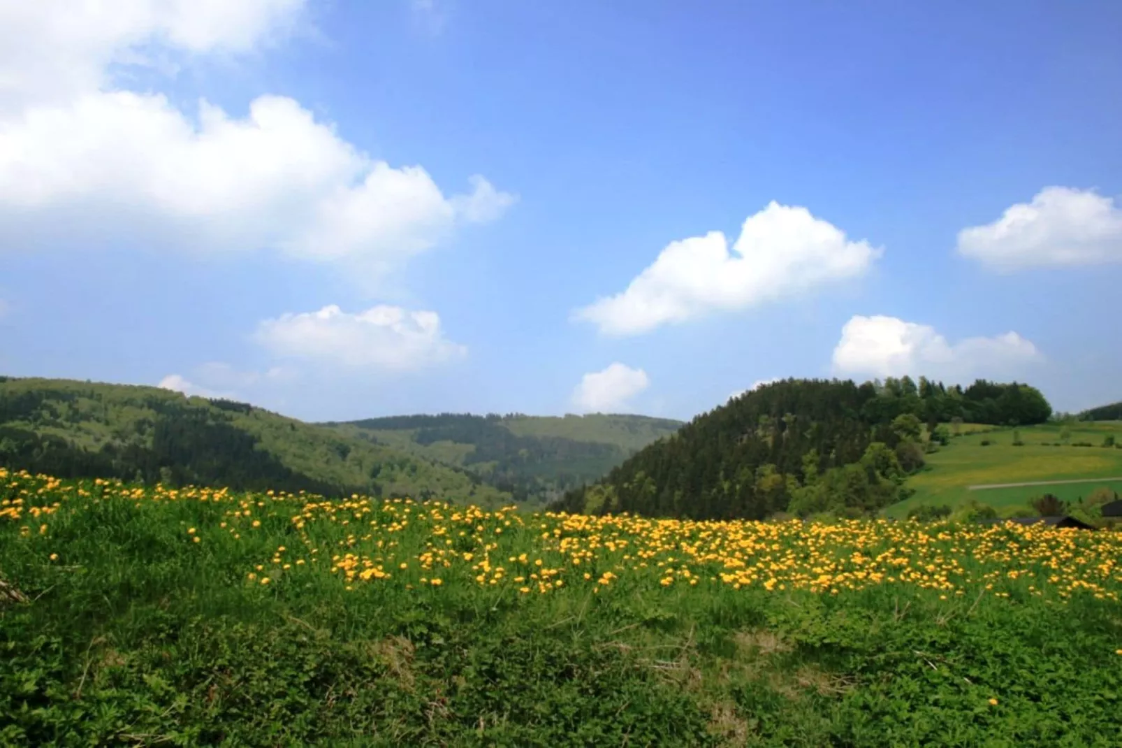 Am Iberg-Areas summer 20km