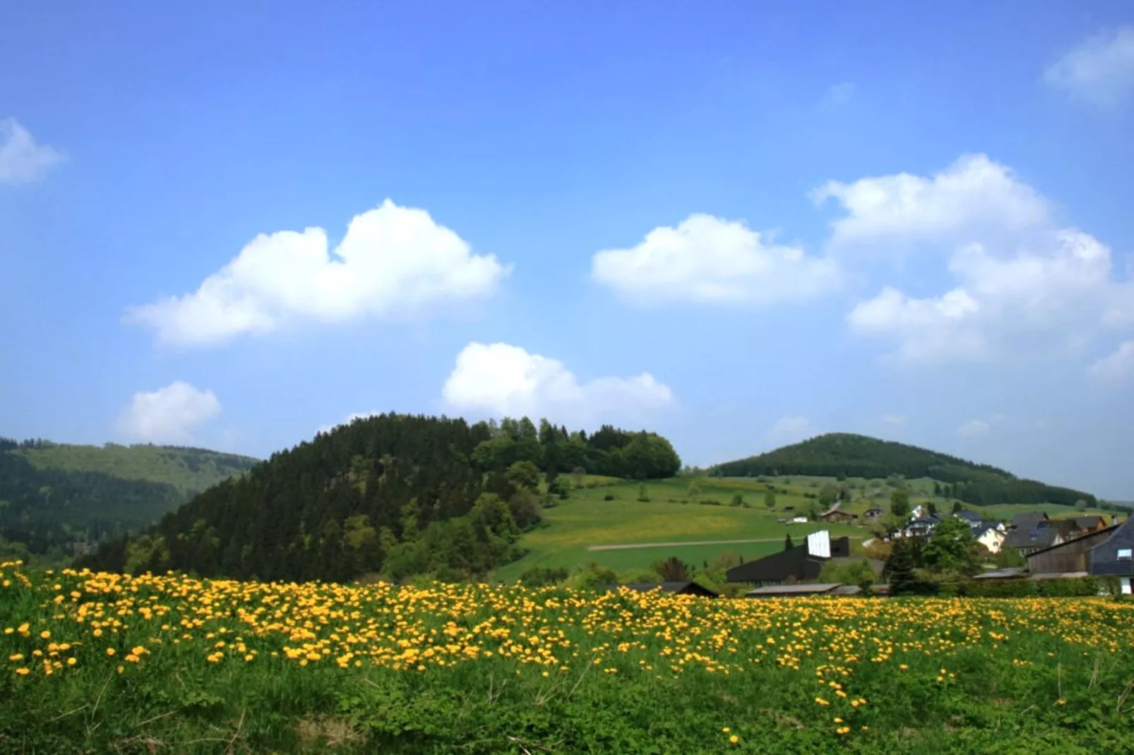 Haus am Iberg-Areas summer 1km