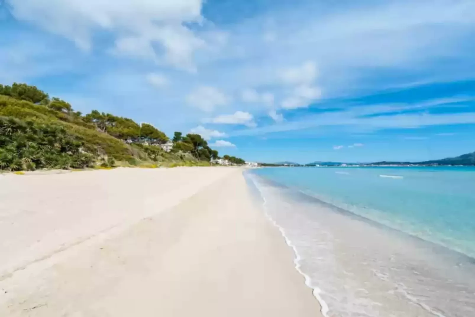 Ses Planes-Areas summer 1km