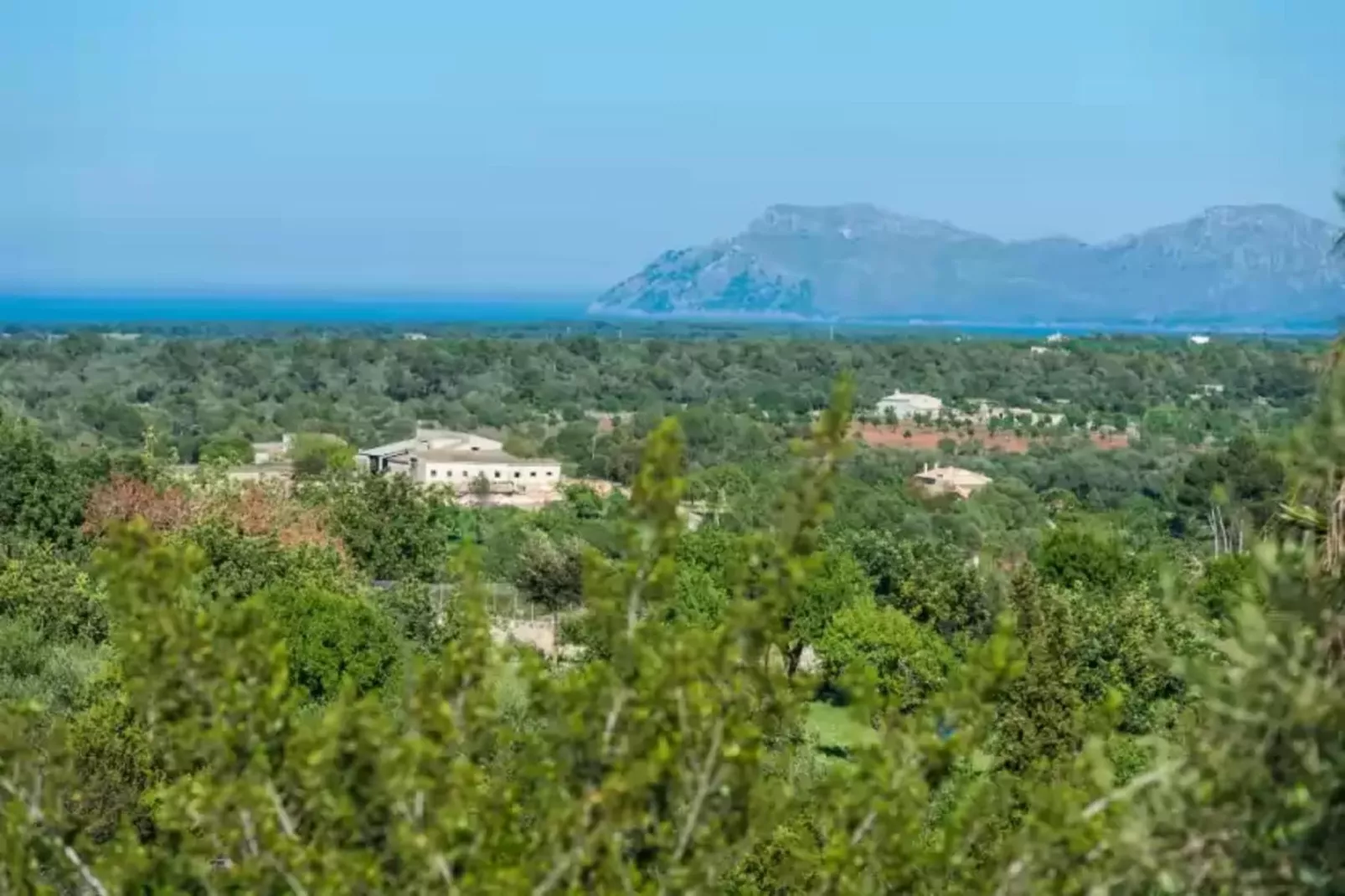 Vila-Areas summer 1km