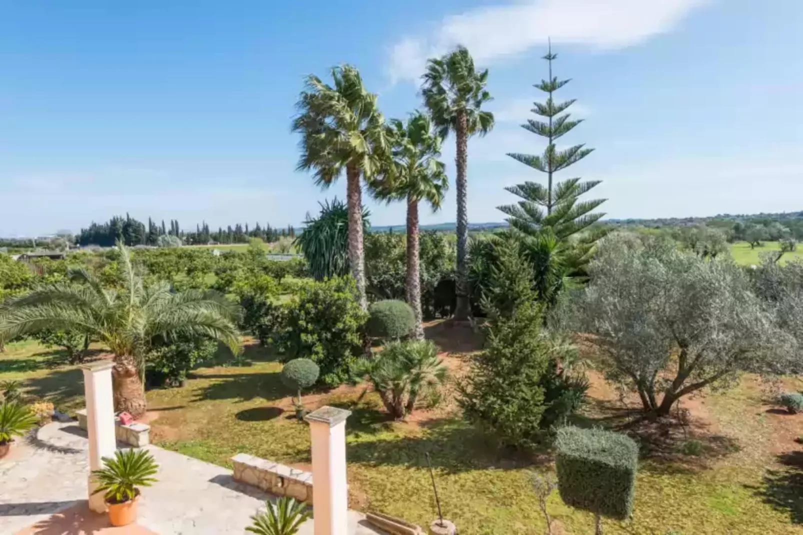 Can Rafelino-Gardens summer
