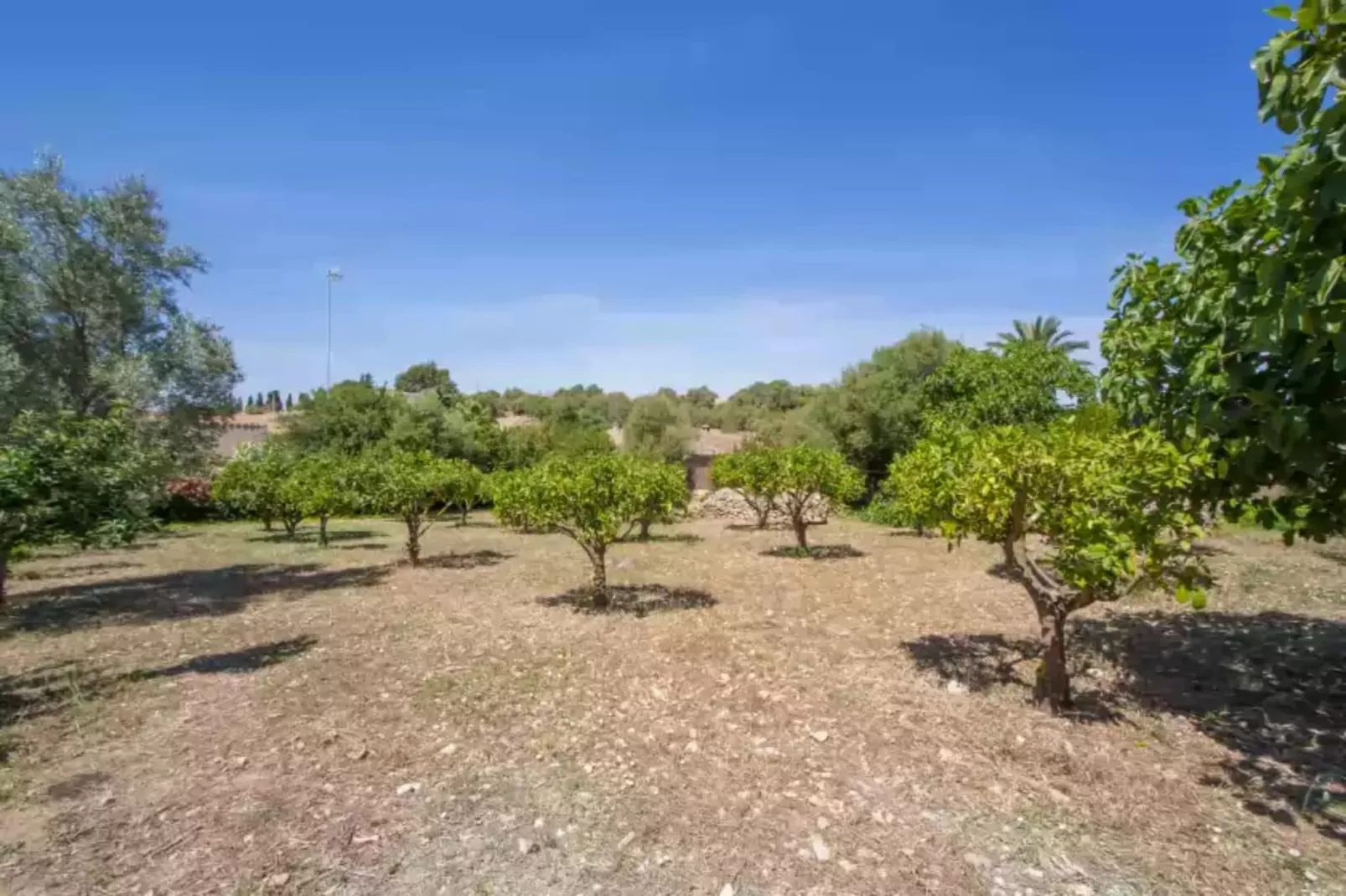 Son GorriÓ-Gardens summer