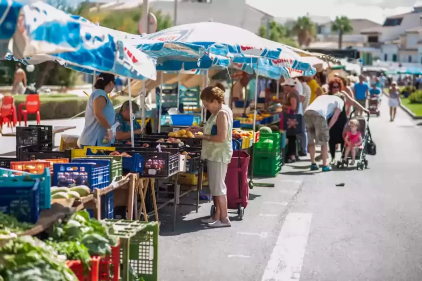 Can Pons-Areas summer 1km
