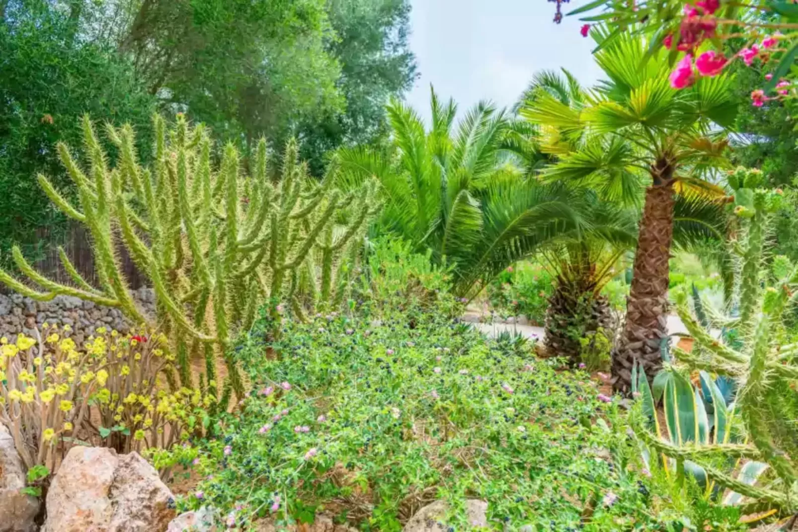 Can Pina - Eco Pina --Gardens summer