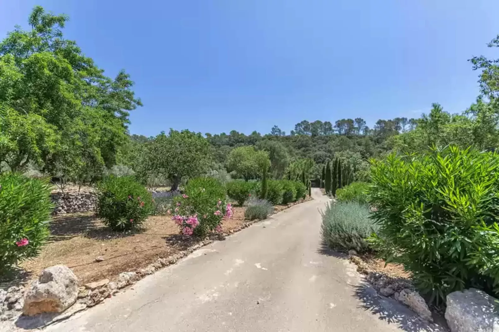 Can Pina - Eco Pina --Areas summer 1km