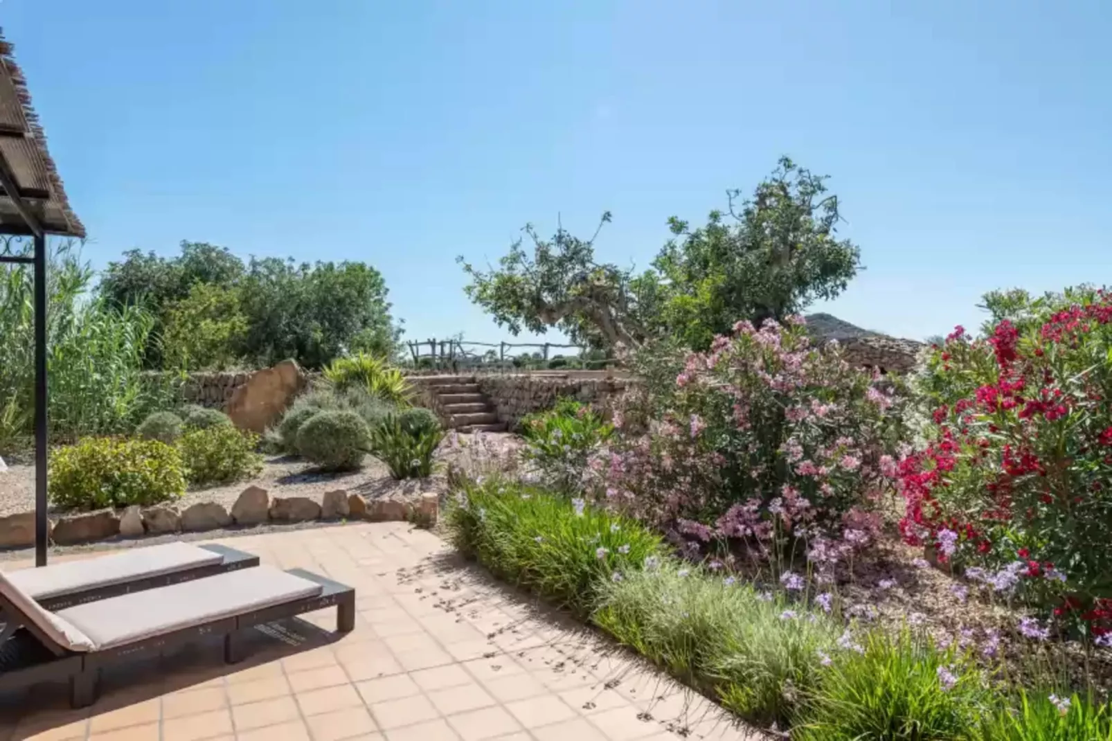 Can Miquel-Exterior summer