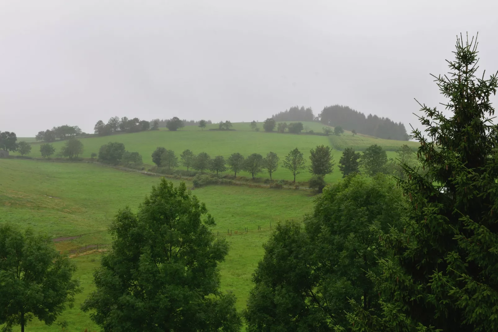 Willingen-Vue d'été