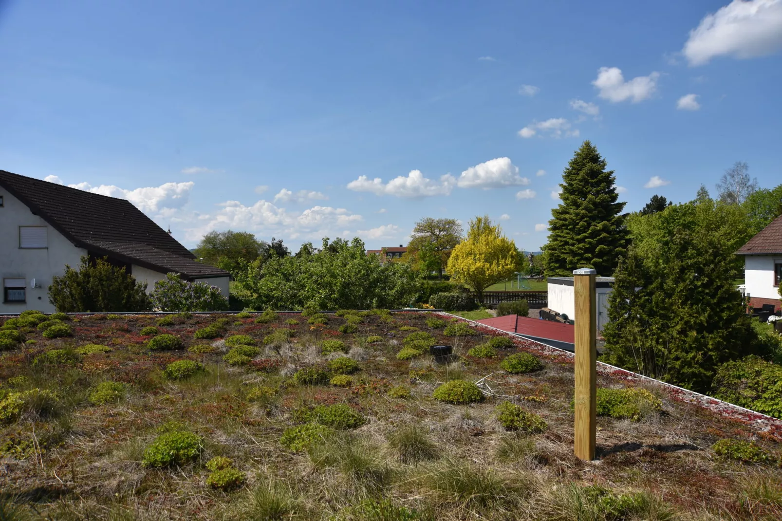 Eulennest-Areas summer 1km