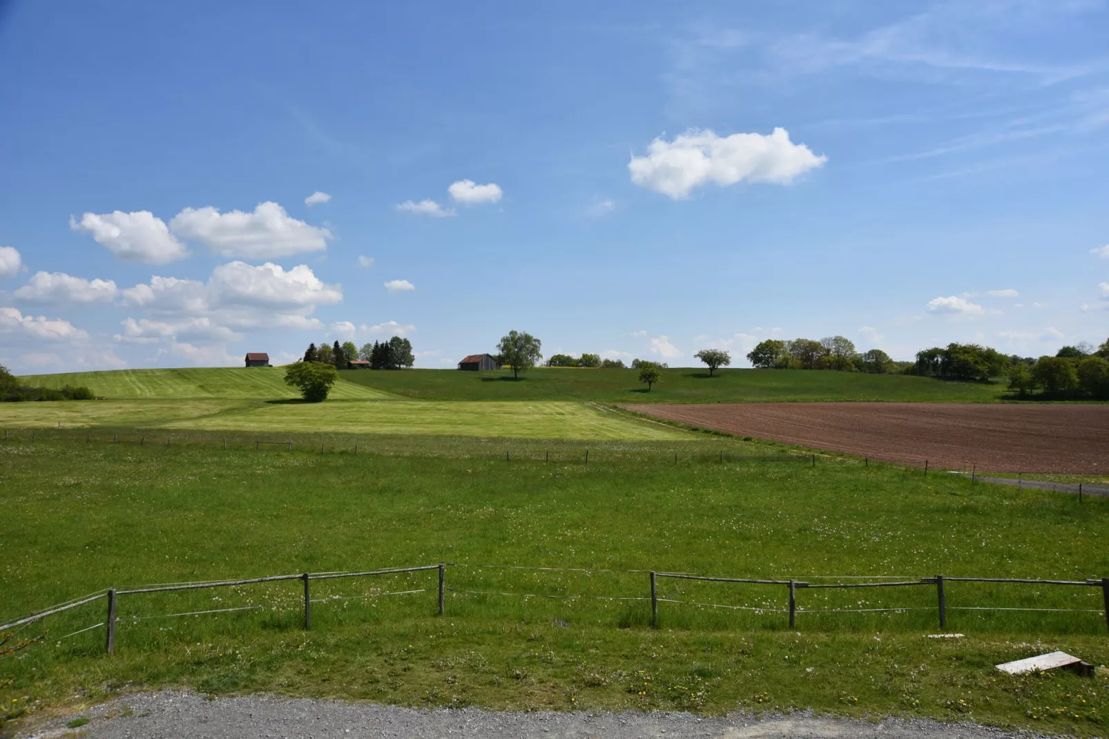 Eulennest-Areas summer 1km