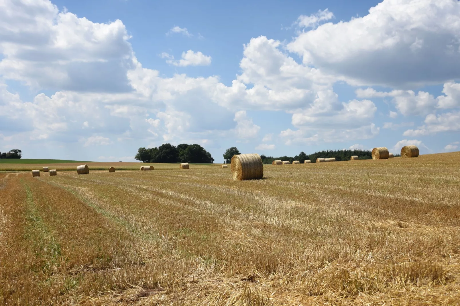 Eulennest-Areas summer 5km