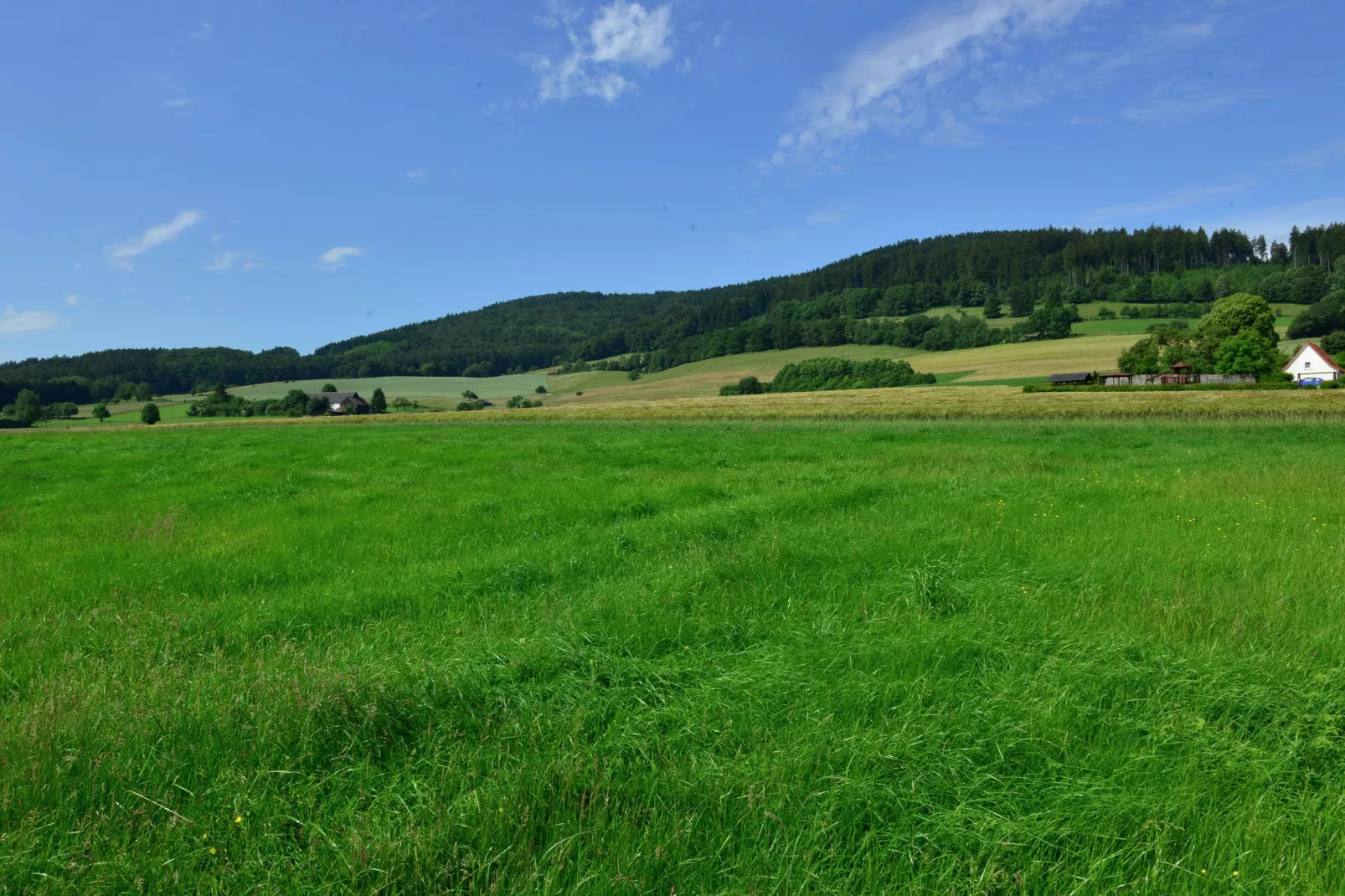 Sauerland - Diemelsee-Areas summer 5km