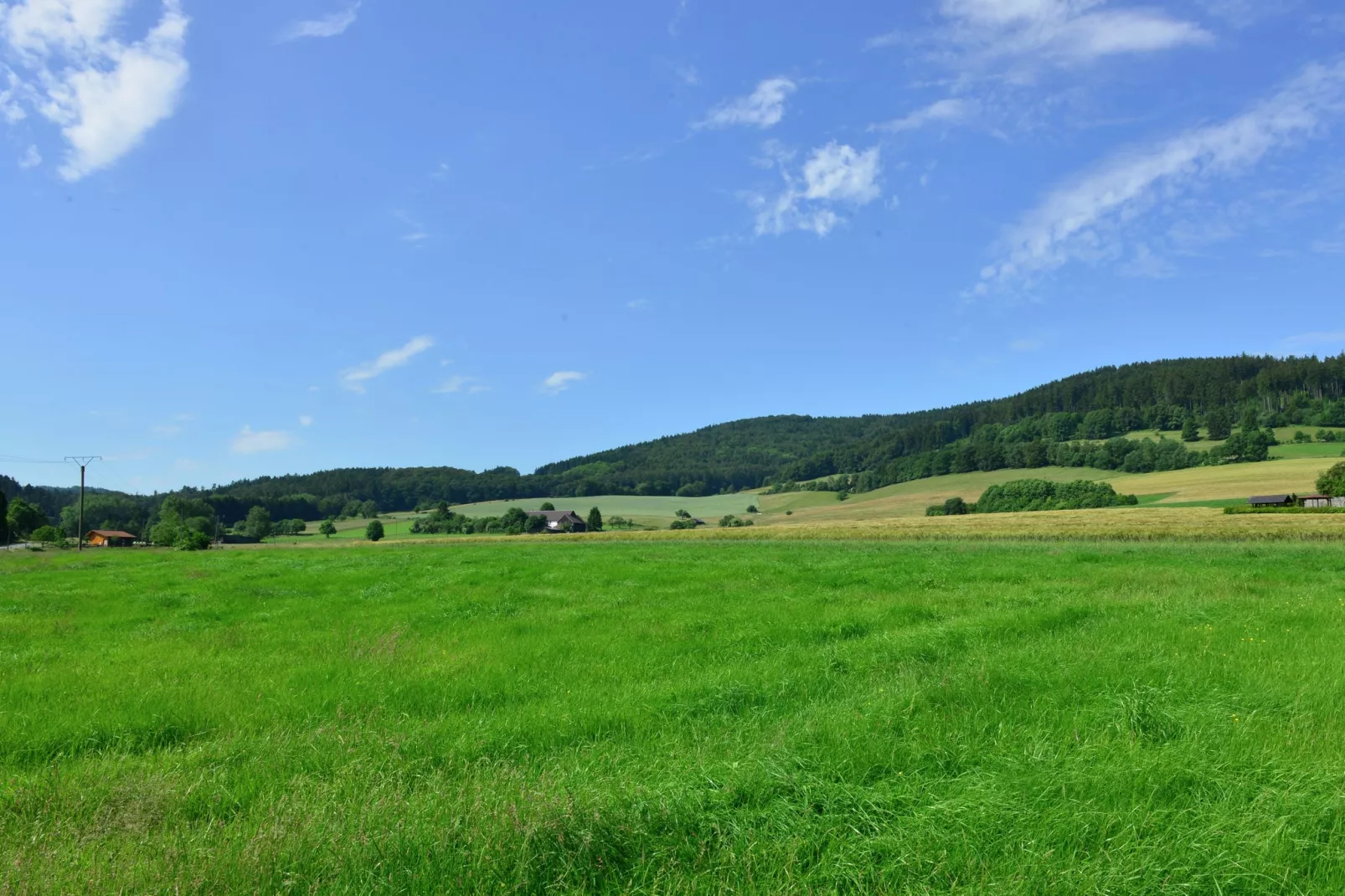 Sauerland - Diemelsee-View in summer