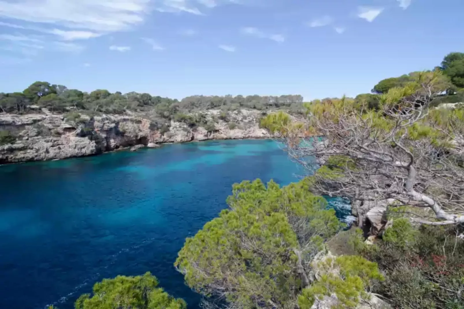 The Torrent's Observer Holiday Home-Areas summer 5km