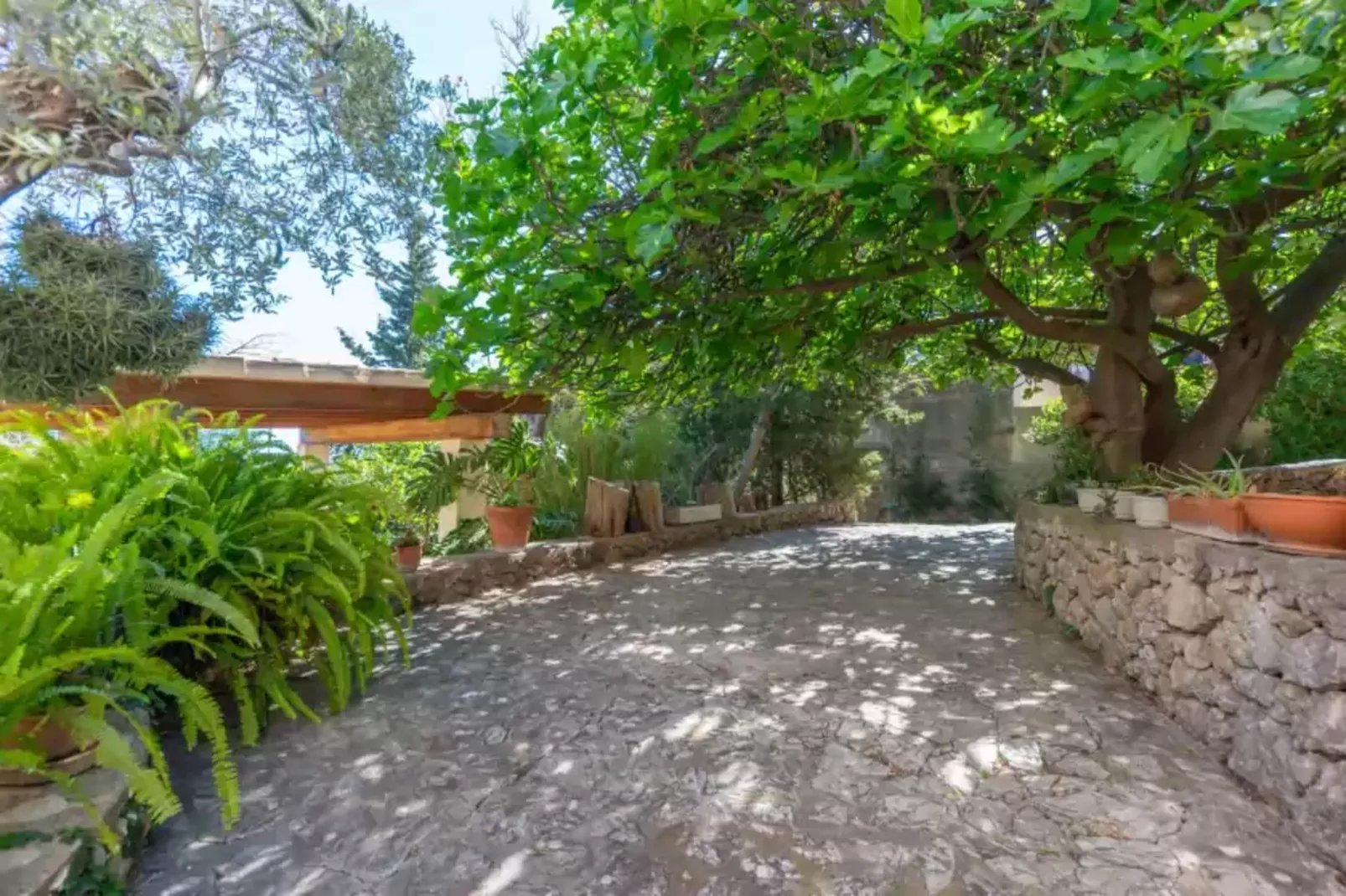Casa S'olivaret (selva)-Installations du parc