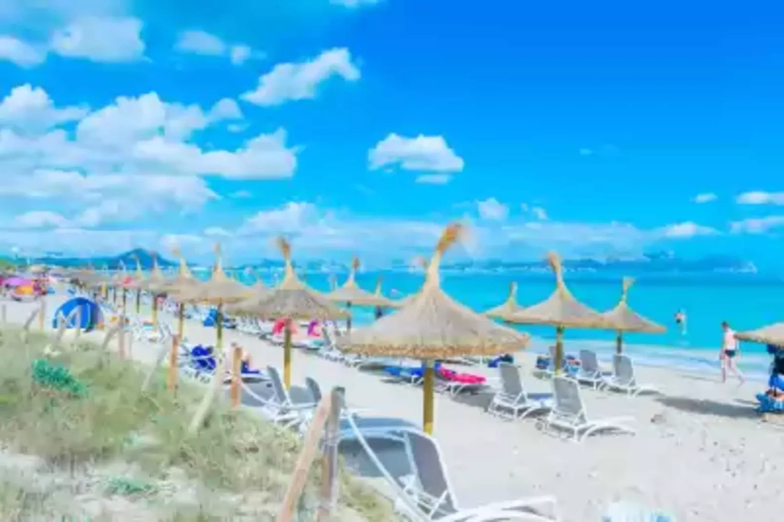 Antonia-Areas summer 5km