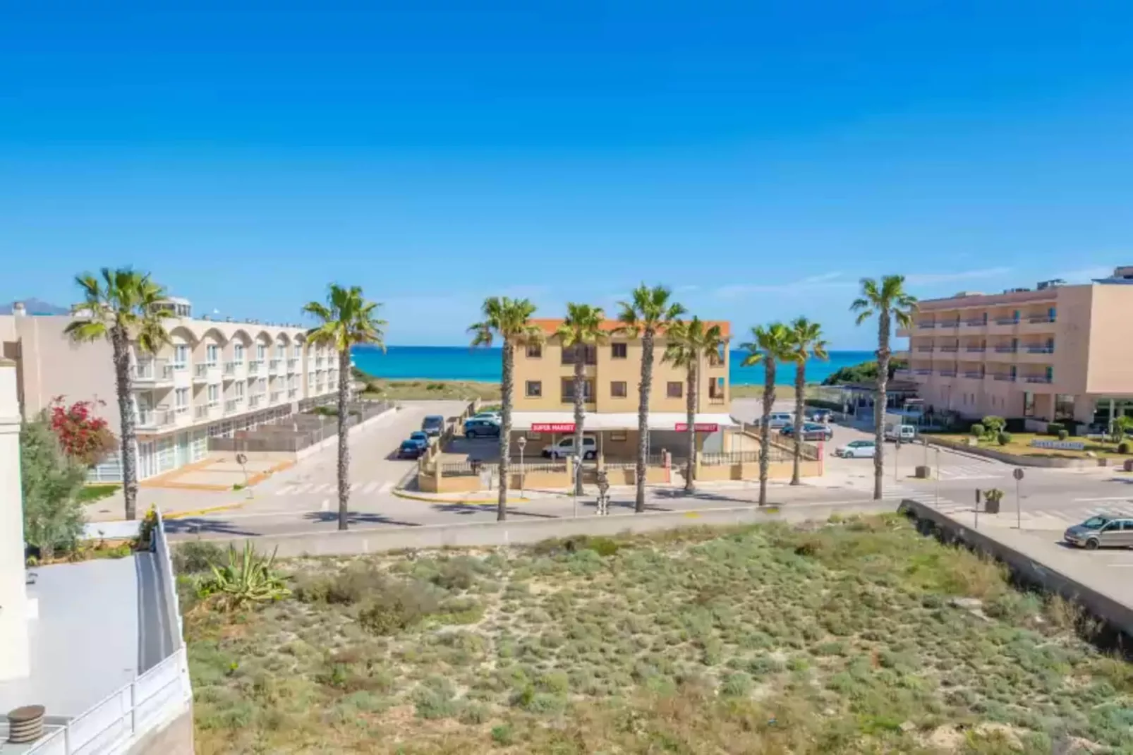 Antonia-Areas summer 5km