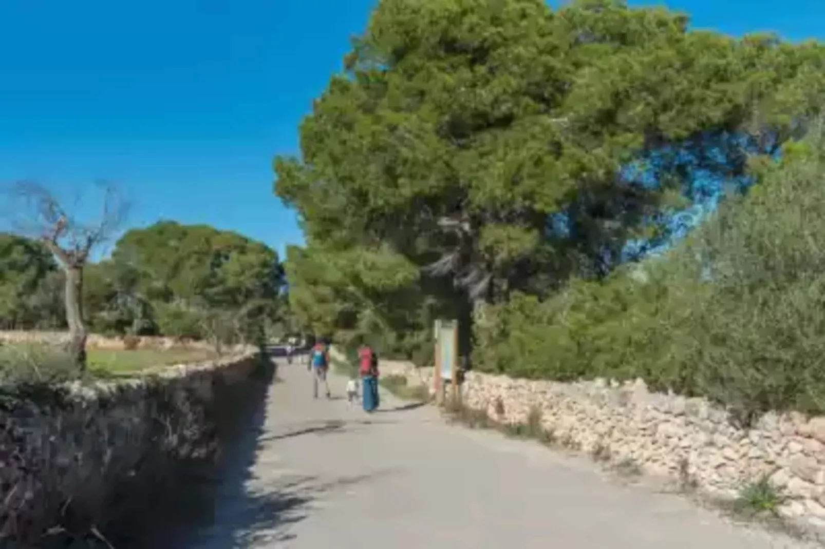 Can Ferrer (cala D'or)-Areas summer 20km