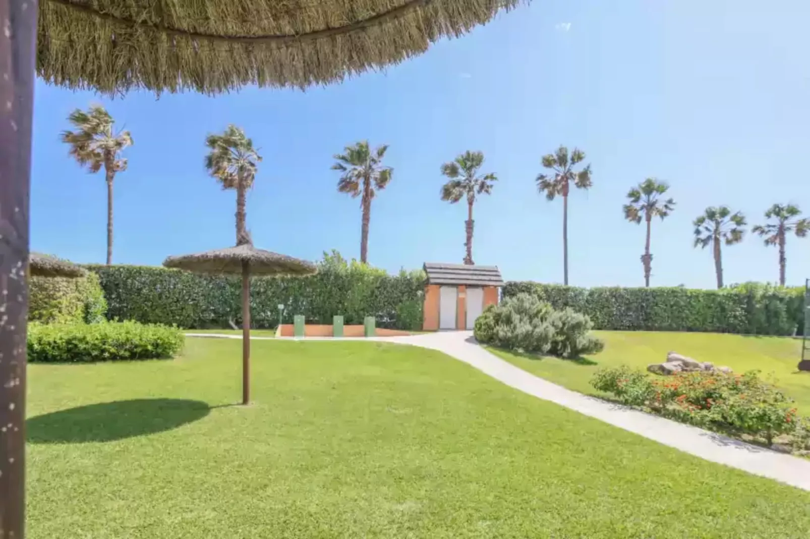 Las Americas - Garten Sommer