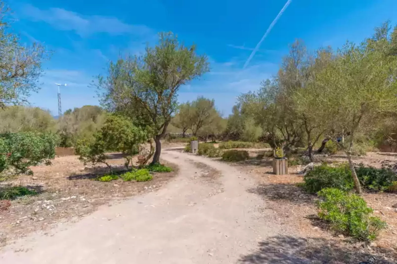 Sa Torreta-Areas summer 1km