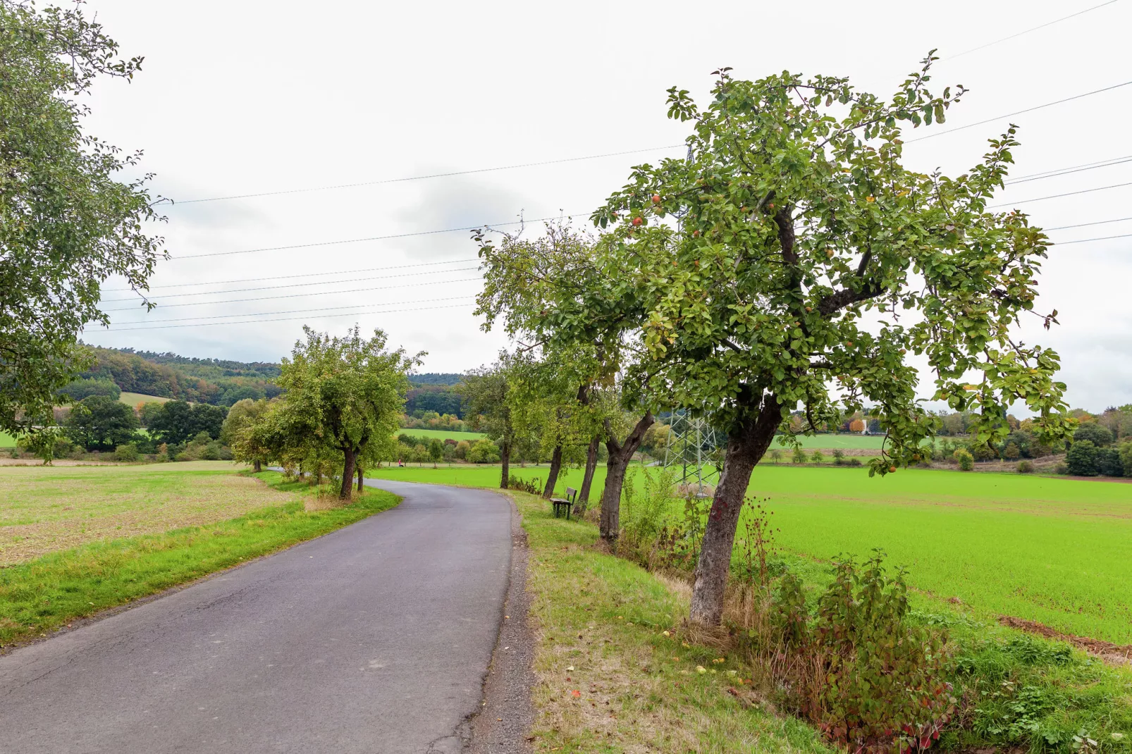 Im Kellerwald-Areas summer 1km