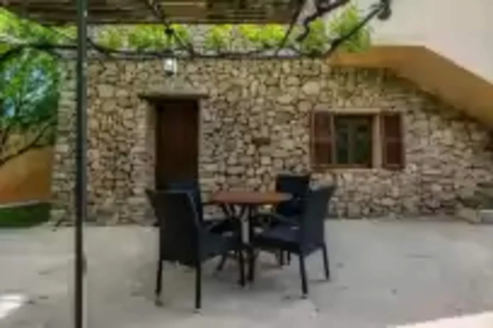 S'hort De Sa Bagura - Sa Soll-Terrace balcony