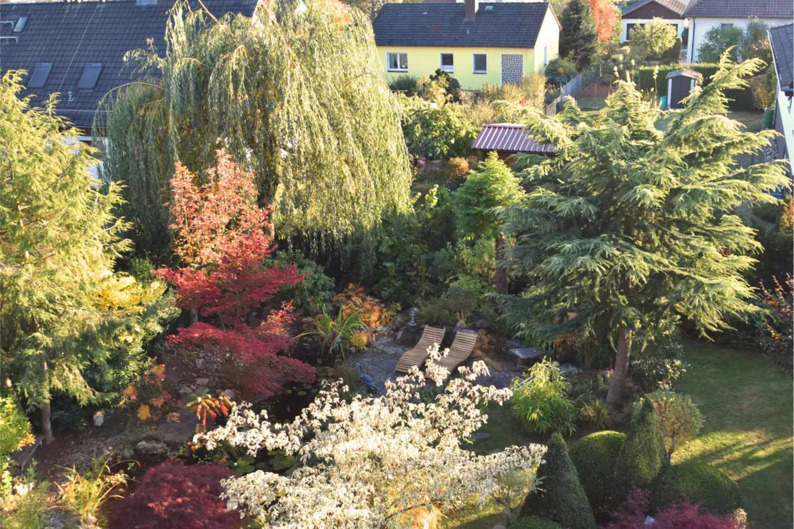 Severin-Jardin d'été