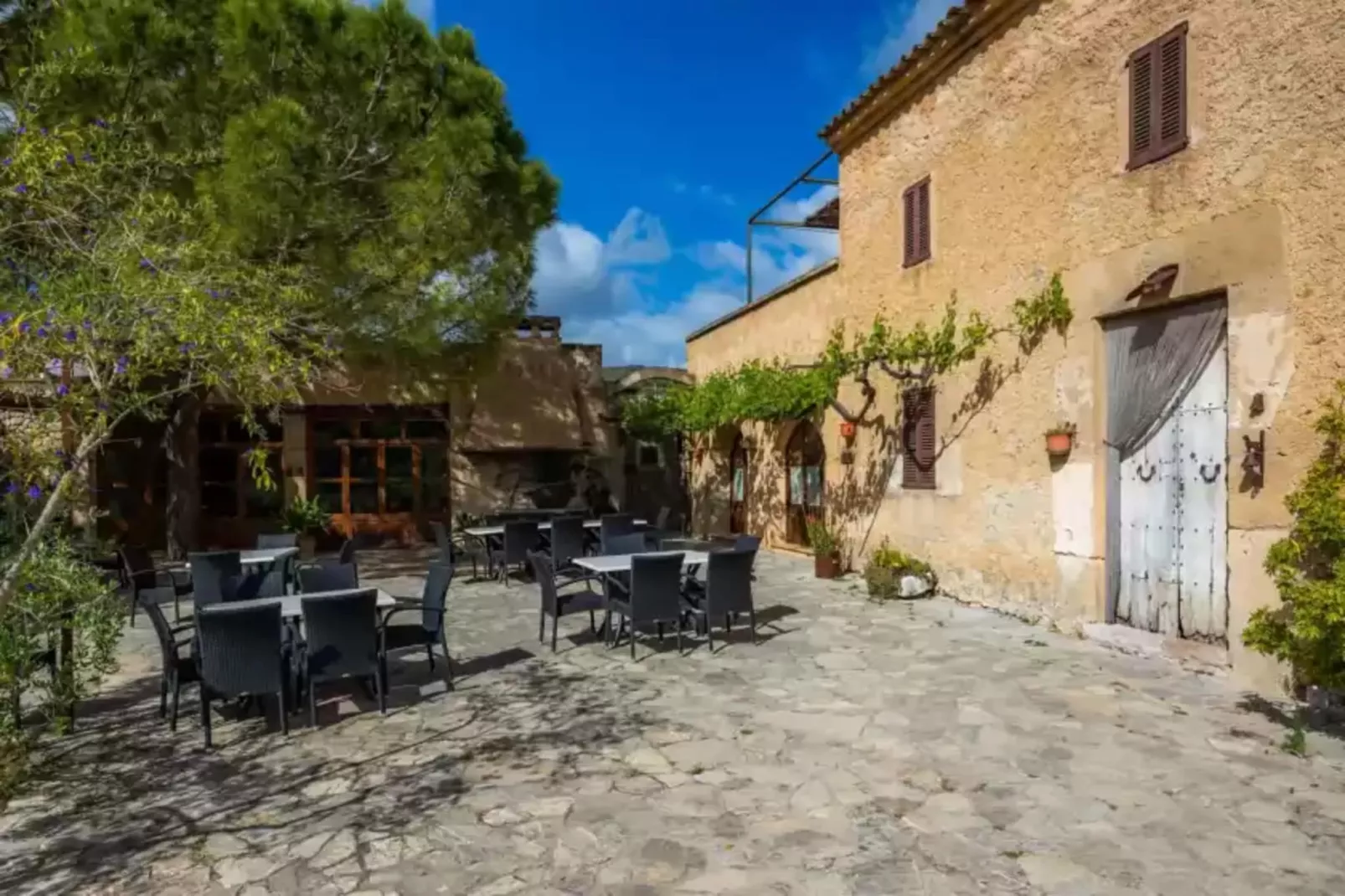 S'hort De Sa Bagura - Sa Soll-Terrace balcony