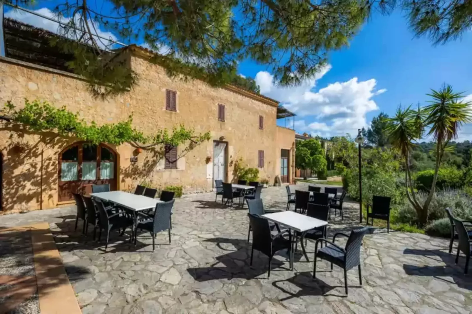 S'hort De Sa Bagura - Es Colomer-Terrace balcony