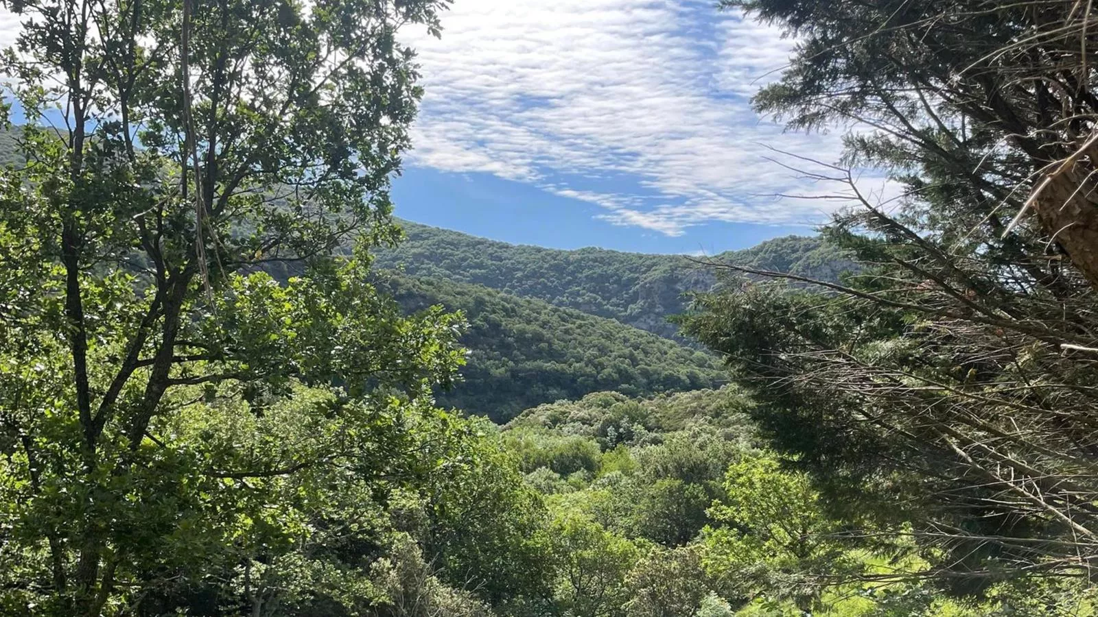 Oleandre-Areas summer 5km