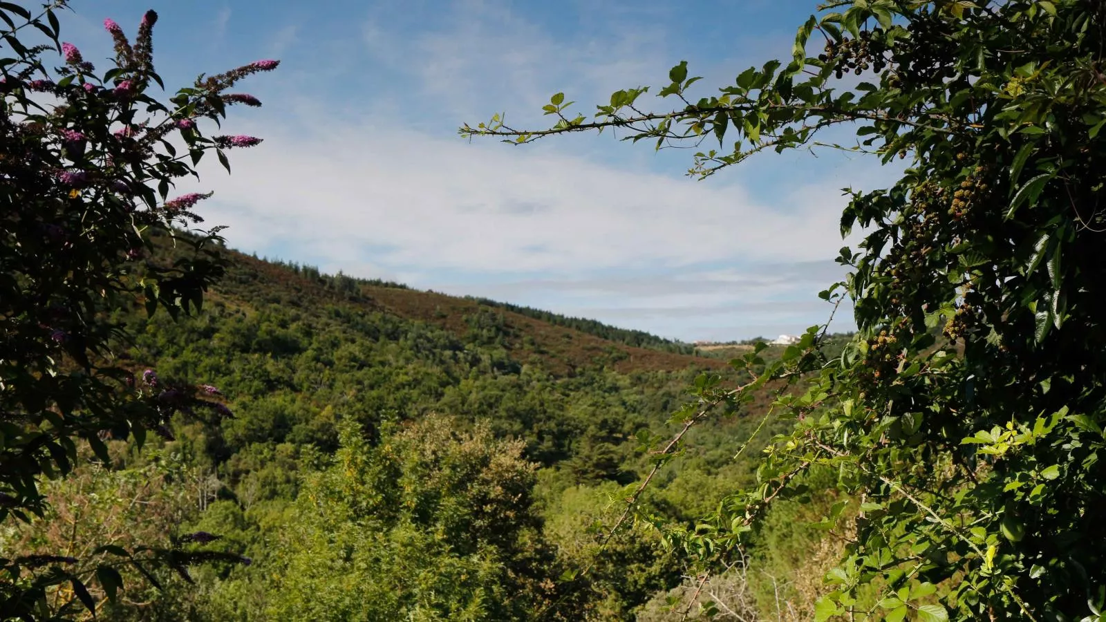 Oleandre-Areas summer 5km
