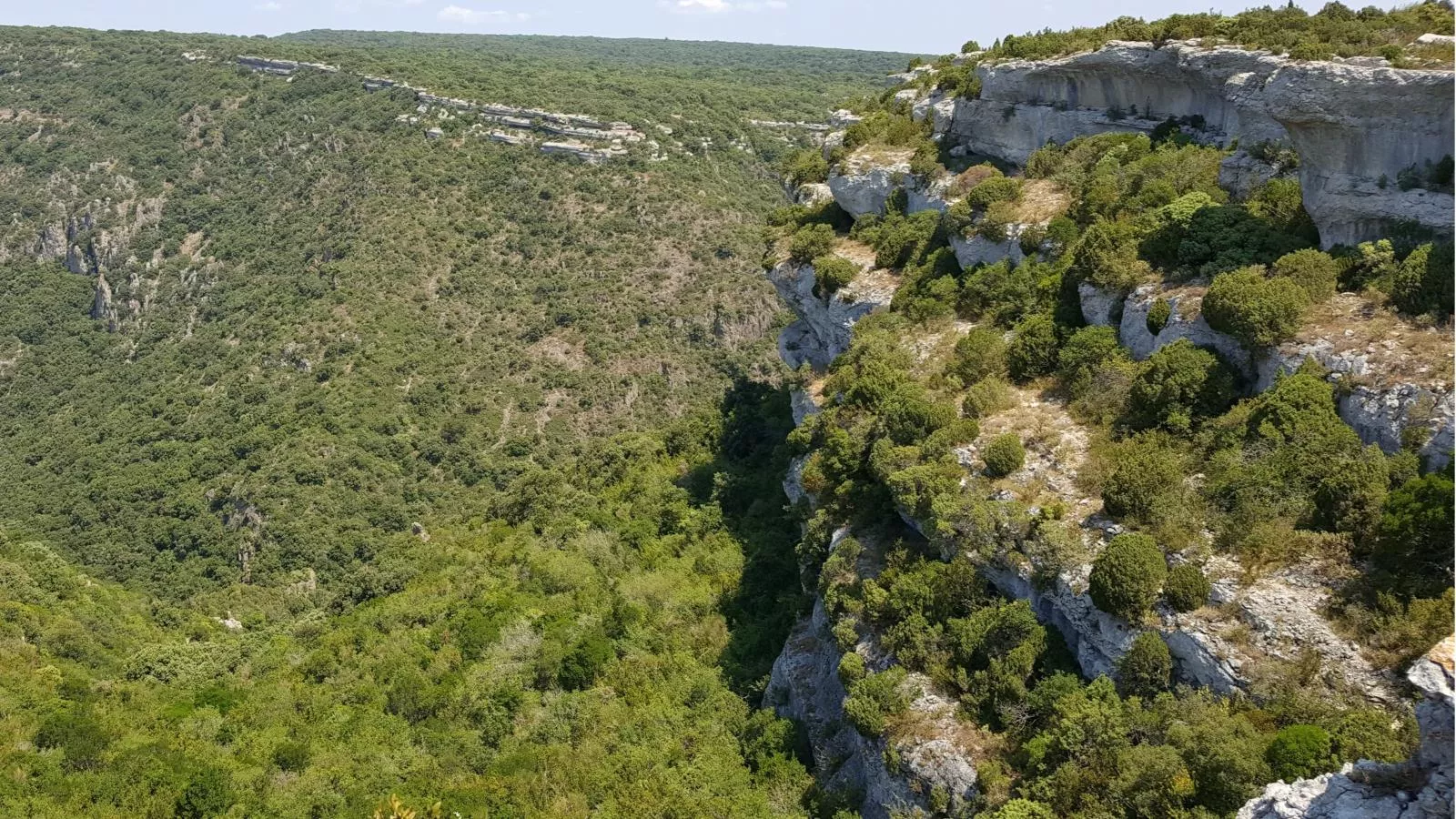 Olivier-Areas summer 5km