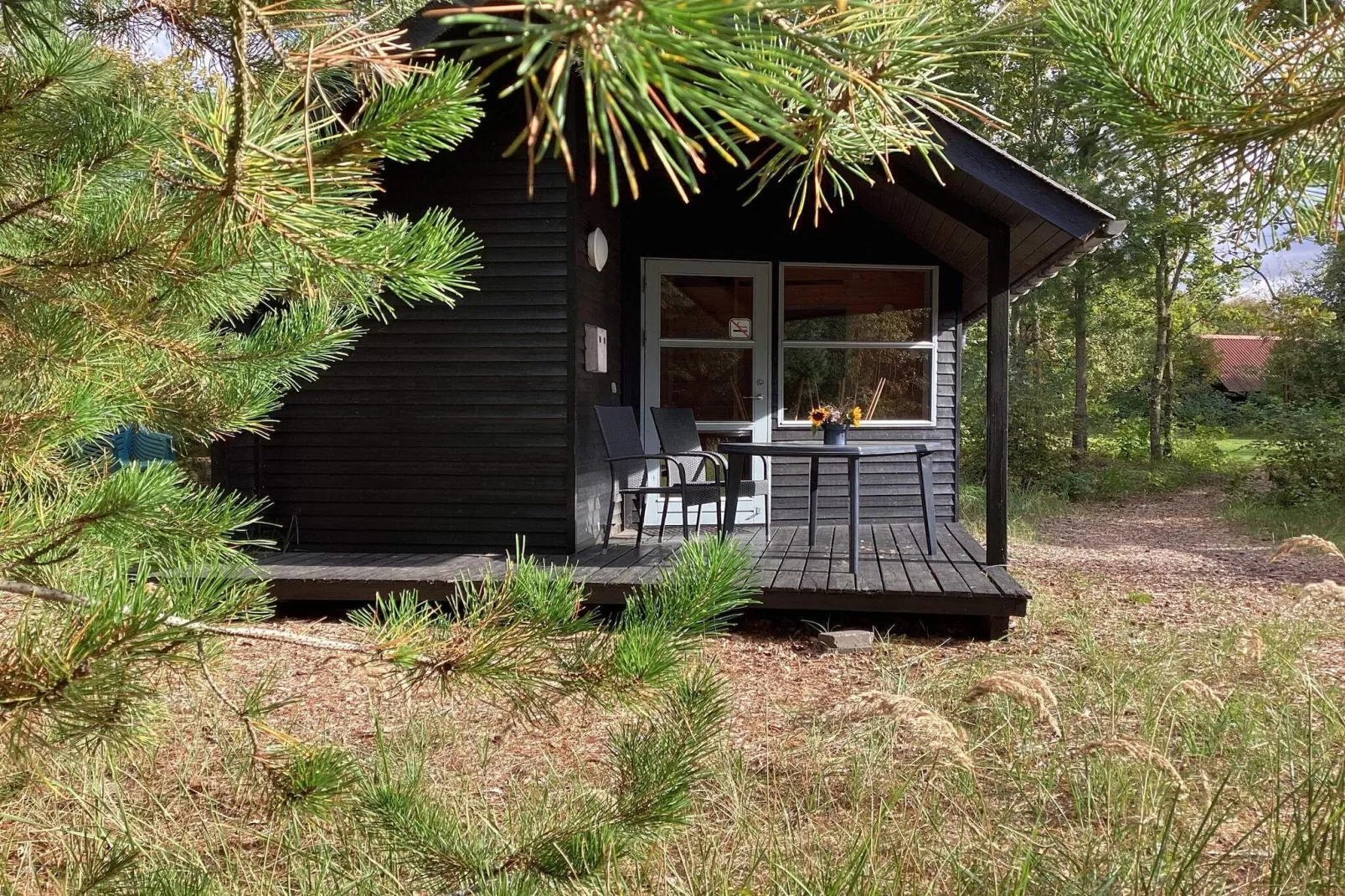 Vesterhavshytte til 6 Personer-Outdoor