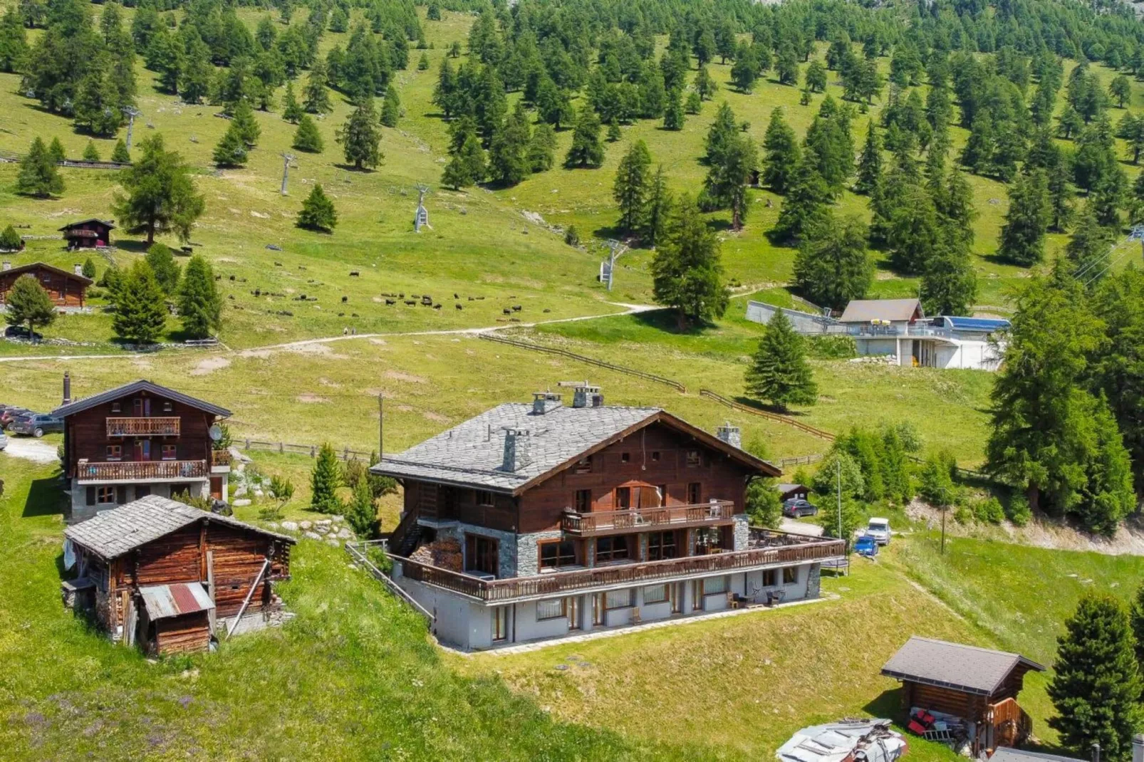 Des Alpes 001 - ON THE SLOPES apartment 6 pers-Areas summer 5km