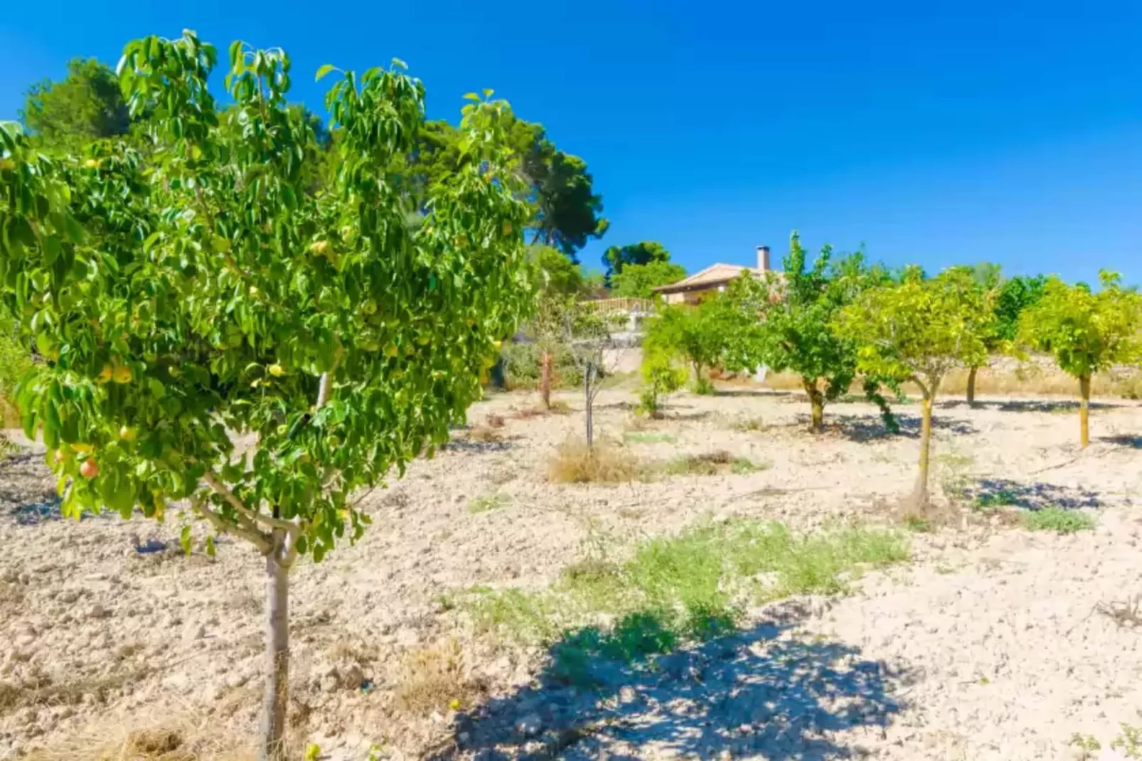 S'aresta Den Rumbet-Areas summer 1km