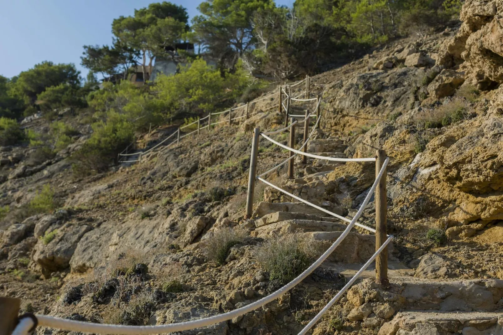 Can Icarus-Areas summer 1km