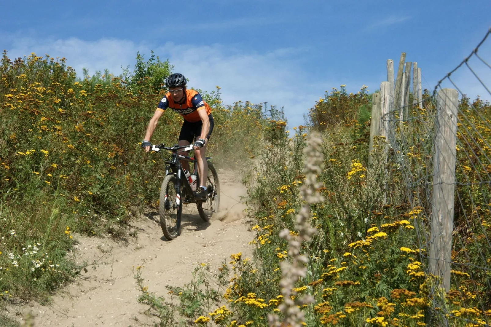 Resort Maasduinen 13-Areas summer 1km