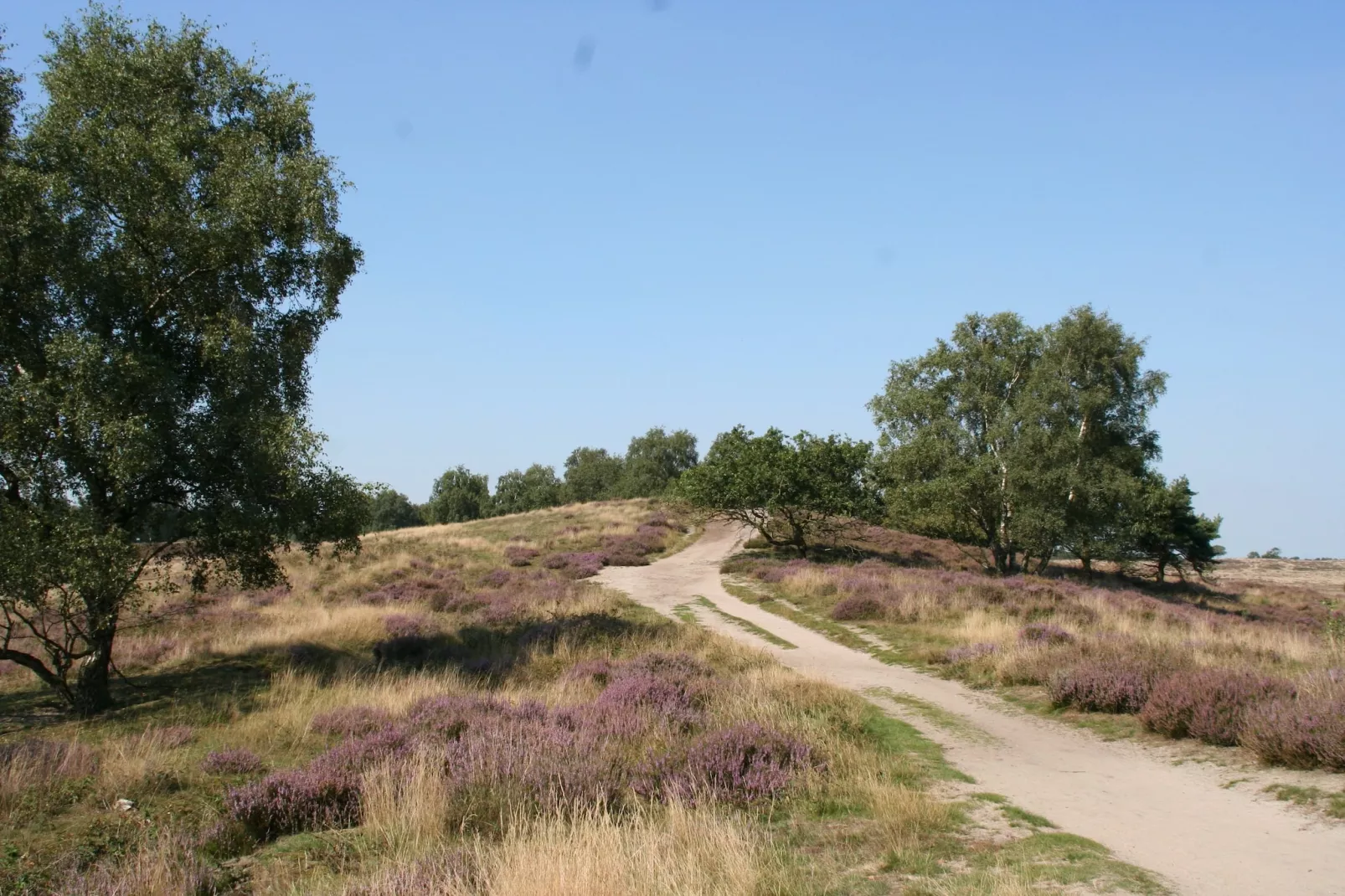 Resort Maasduinen 13-Areas summer 5km