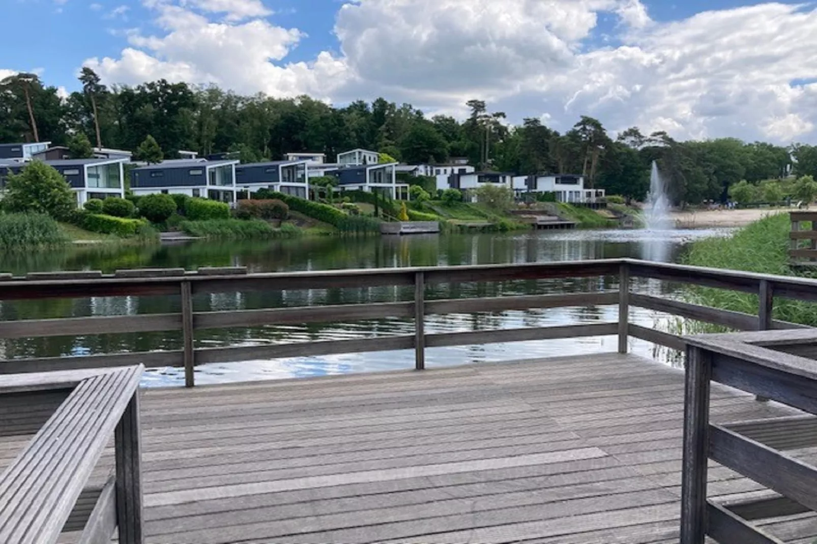 Resort Brunssummerheide 15-View summer