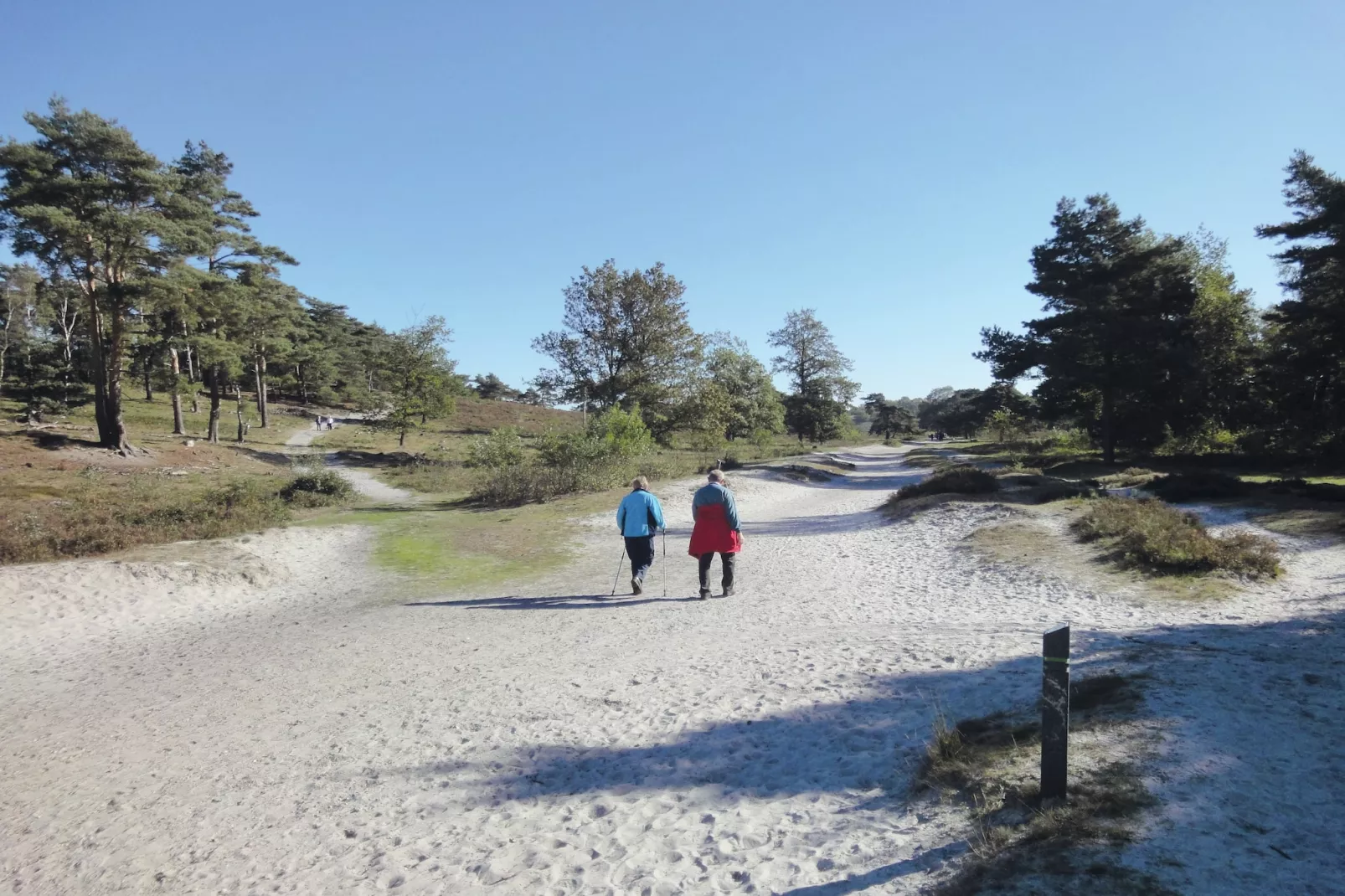 Resort Brunssummerheide 13-Areas summer 5km
