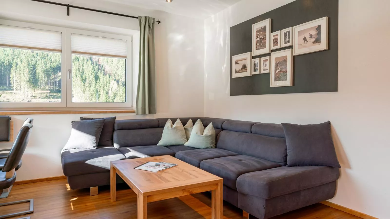 Tauern-Blick-Living room